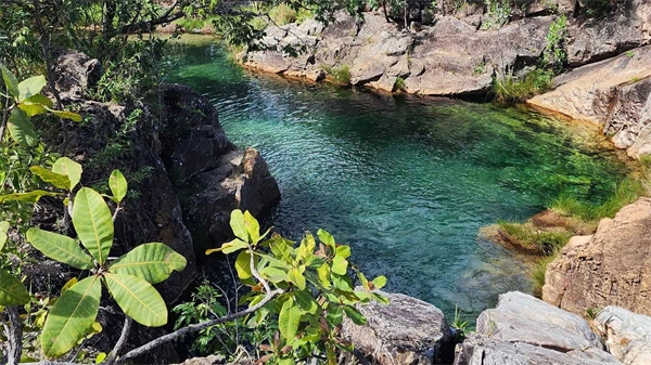 Clear green water pool in rocky landscape in Brazil's Emerald Oasis.
