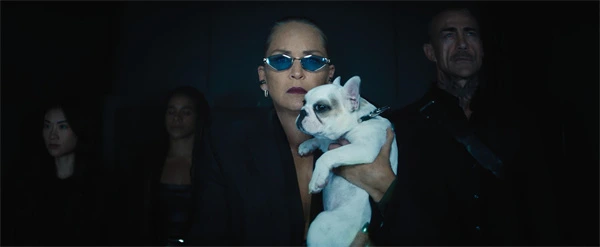 A woman with sunglasses holds a French Bulldog in Anônimo 2.