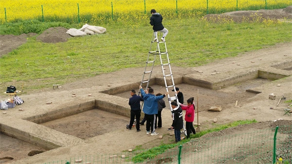 Archaeological fieldwork near rape flower fields from Arqueologia e Além: Minha Jornada em Sanxingdui